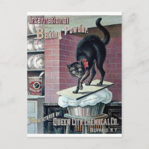 Carte Postale Drôle chat noir vintage poudre à lever affiche