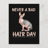 Drôle Chat sans cheveux Sphynx Humour cheveux