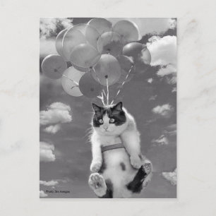 Carte postale: Drôle chat volant avec des ballons