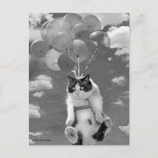 Carte postale : Drôle chat volant avec des ballons