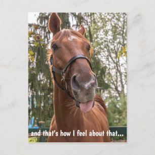 Carte Postale Drôle Cheval Sticking Out Tongue