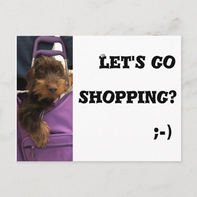 Carte Postale Drôle chien allons faire les courses (Devant)