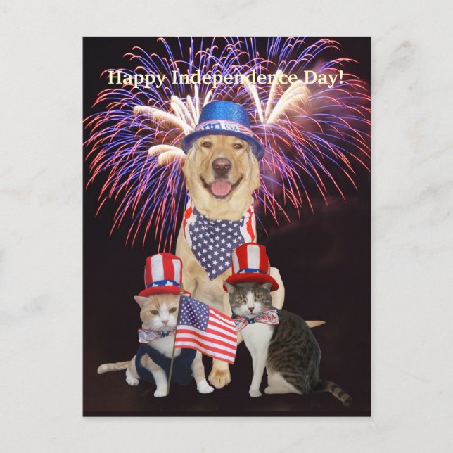 Carte Postale Drôle Chien/Chat 4 juillet (Devant)