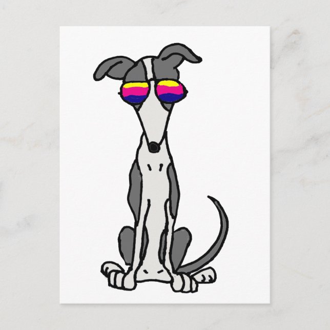 Carte Postale Drôle chien gris dans les lunettes de soleil (Devant)