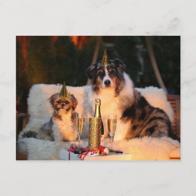 Carte Postale Drôle Chien Happy New Year's Eve Photo (Devant)