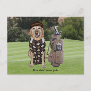 Carte Postale Drôle chien / Lab sur le terrain de golf