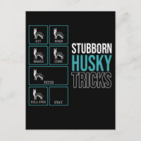 Drôle Chien Lazy Chiot Stubborn Husky