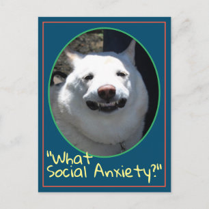 Carte Postale Drôle chien souriant Shiba Inu Quelle anxiété soci