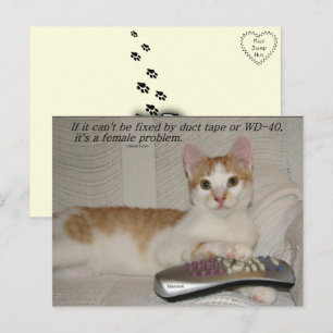 Carte postale drôle de chat avec citation 