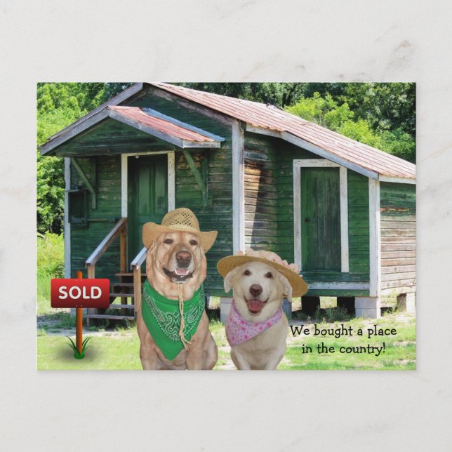 Carte postale drôle de nouvelle adresse/maison de  (Devant)