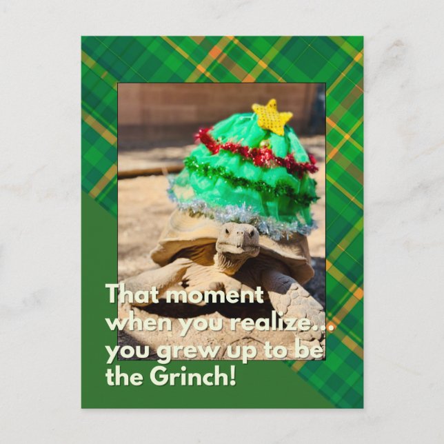 Carte Postale Drôle et Festive Grinch Tortoise Noël (Devant)