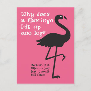 Carte Postale Drôle Flamant rose Riddle