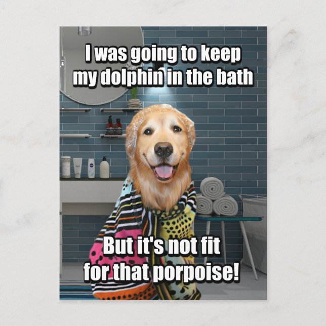 Carte Postale Drôle Golden Retriever Dolphin Porpoise Plaisanter (Devant)