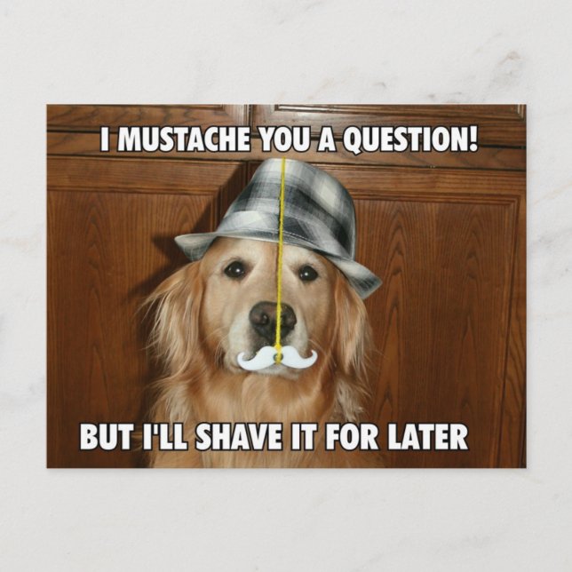 Carte Postale Drôle Golden Retriever Mustache You a question (Devant)