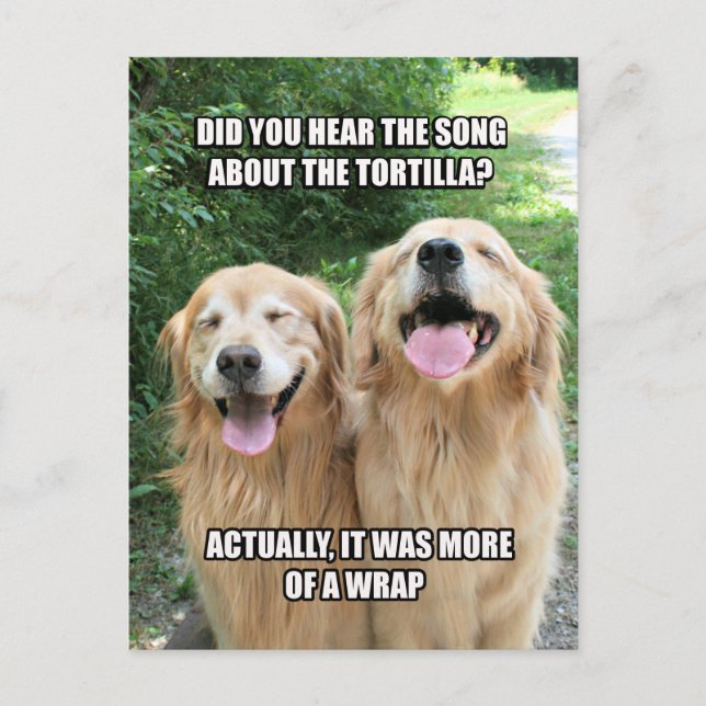 Carte Postale Drôle Golden Retriever Tortilla Joke Mème (Devant)