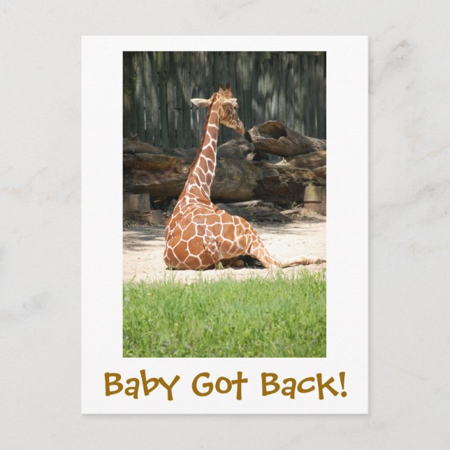 Carte Postale Drôle Humoristique (Devant)