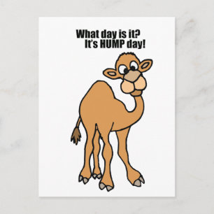 Carte Postale Drôle Hump Day Camel Art