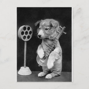Carte Postale Drôle JACK RUSSELL Terrier chien jouant banjo