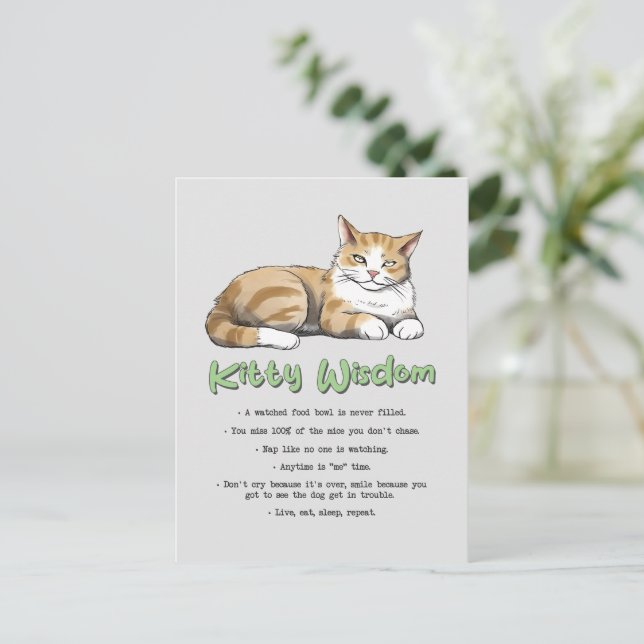 Carte Postale Drôle Kitty sagesse (Debout devant)
