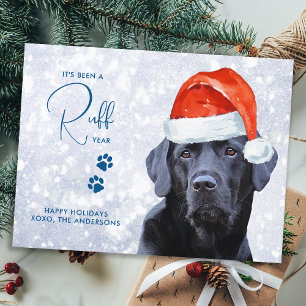 Carte Postale Drôle Labrador Retriever Dog Ruff année en examen