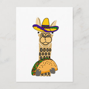 Carte Postale Drôle Llama mangeant Taco Cartoon