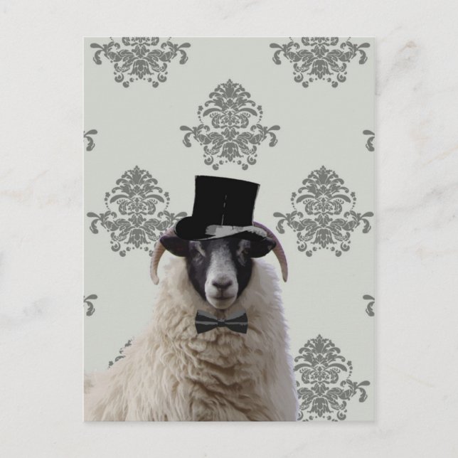 Carte Postale Drôle marié mouton dans le chapeau supérieur (Devant)