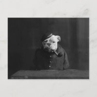 Drôle photo Vintage de chien en uniforme