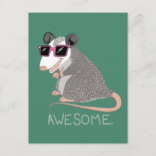 Carte Postale Drôle Possum génial