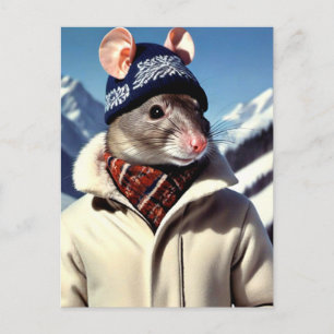 Carte Postale Drôle Rat Modélisation Ski Porter