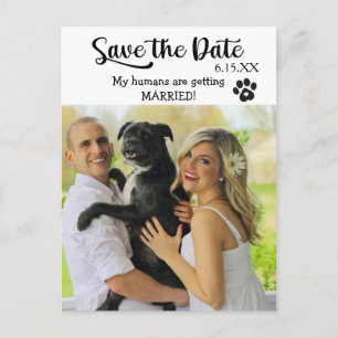 Carte Postale Drôle Sauvegarder la date du mariage avec chien
