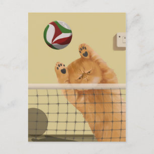 Carte Postale Drôle Whimsical joueuse Chat : Volleyball