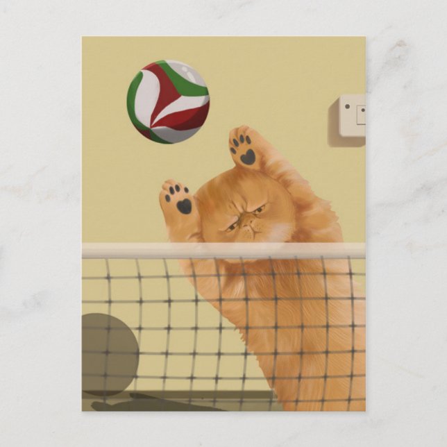 Carte Postale Drôle Whimsical joueuse Chat : Volleyball (Devant)