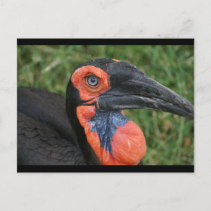 CARTE POSTALE DSC00171