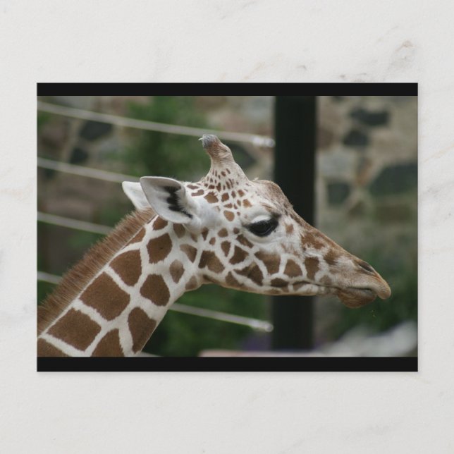 CARTE POSTALE DSC00238 (Devant)