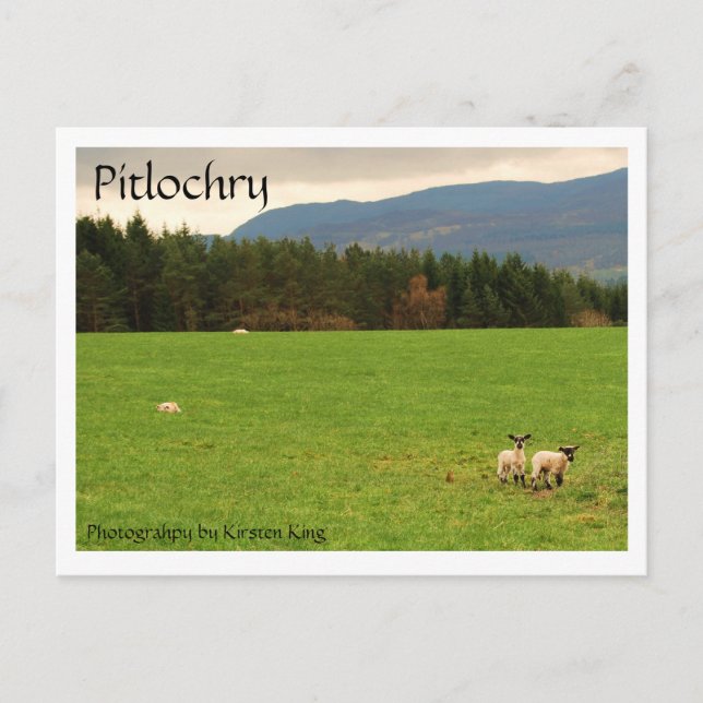 Carte Postale DSC_0522, Pitlochry, photo de Kirsten King (Devant)