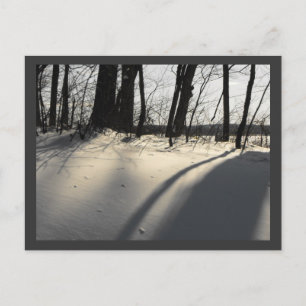 CARTE POSTALE DSCF1204