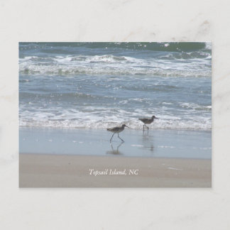 Carte Postale DSCF2949, île Topsail, NC