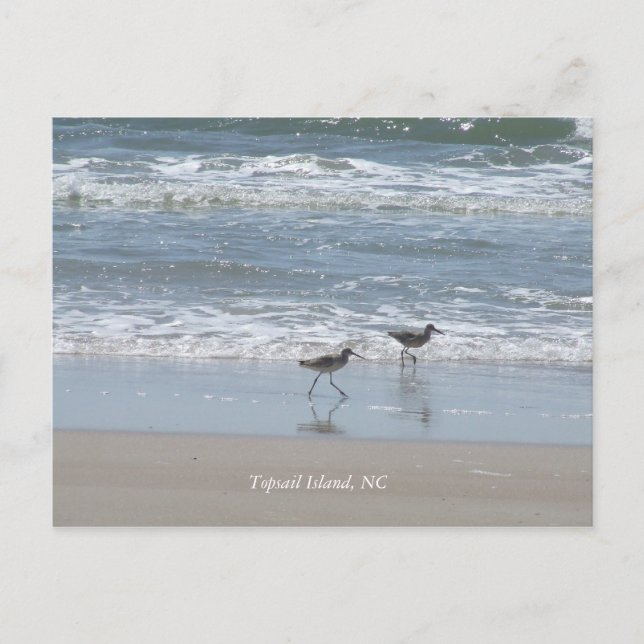 Carte Postale DSCF2949, île Topsail, NC (Devant)