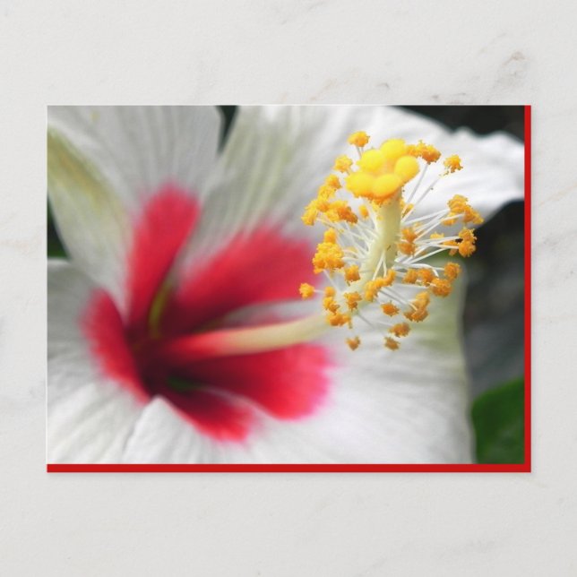 CARTE POSTALE DSCN0387 (Devant)