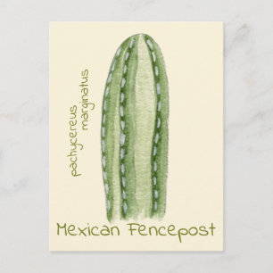 Carte postale du cactus Mexican Fencepost