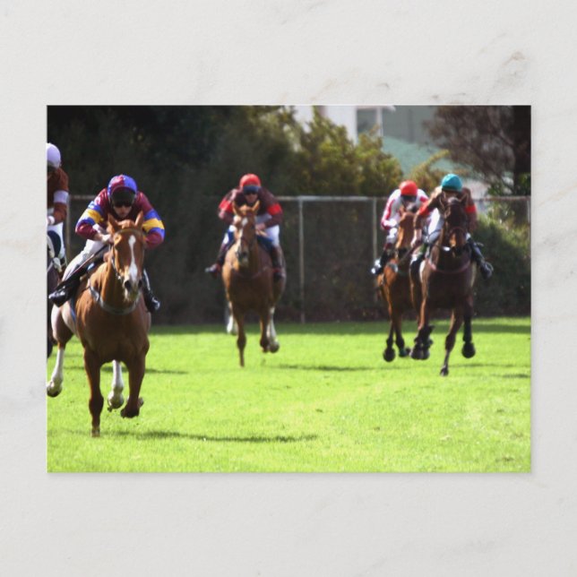 Carte postale du champ de course à cheval (Devant)