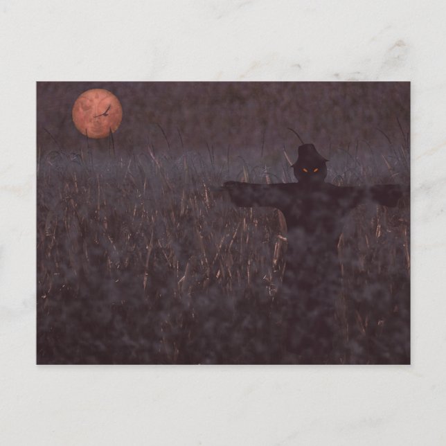 Carte postale du champ de maïs (Devant)