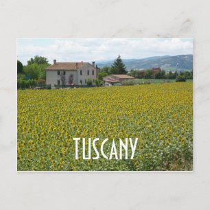 Carte postale du champ de tournesols sur la collin