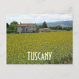 Carte postale du champ de tournesols sur la collin