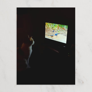 Carte postale du chat qui aime son temps d'écran