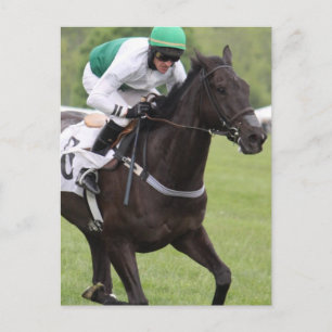 Carte postale du cheval de course Galloping