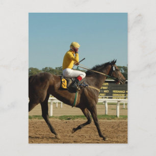 Carte postale du cheval de course Thoroughbred