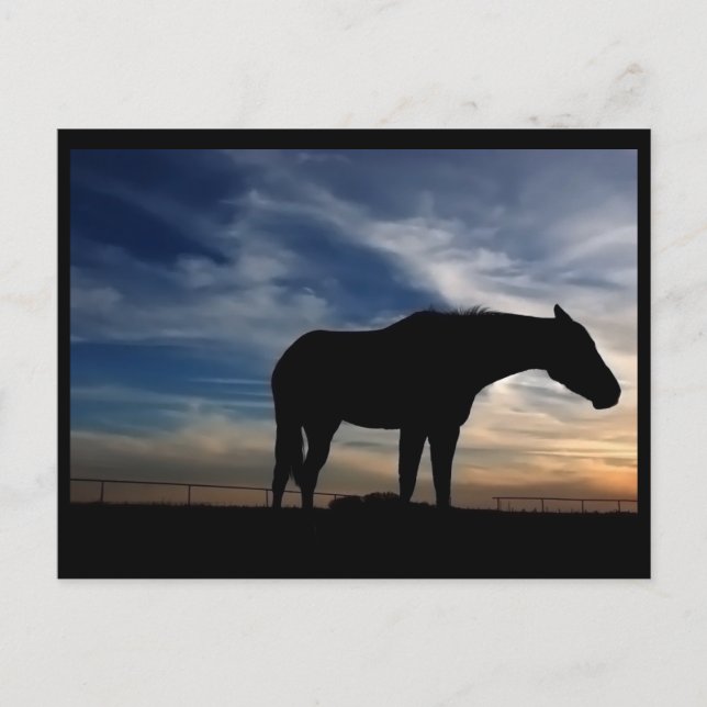 Carte postale du Cheval du coucher du soleil (Devant)