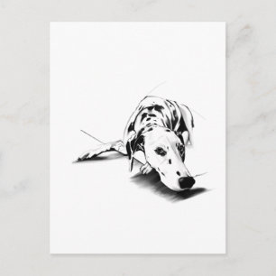 Carte postale du chien dalmate - Dessin à la main