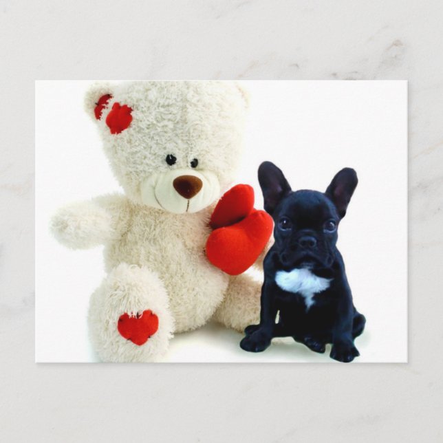 Carte postale du chiot de Valentine (Devant)